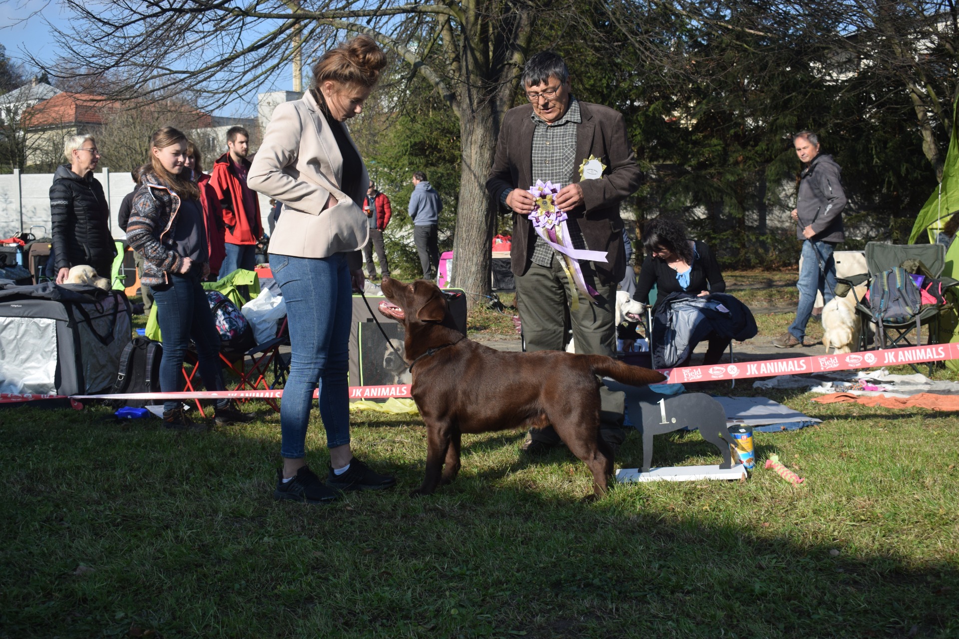 Oblastní klubová výstava - Kelč