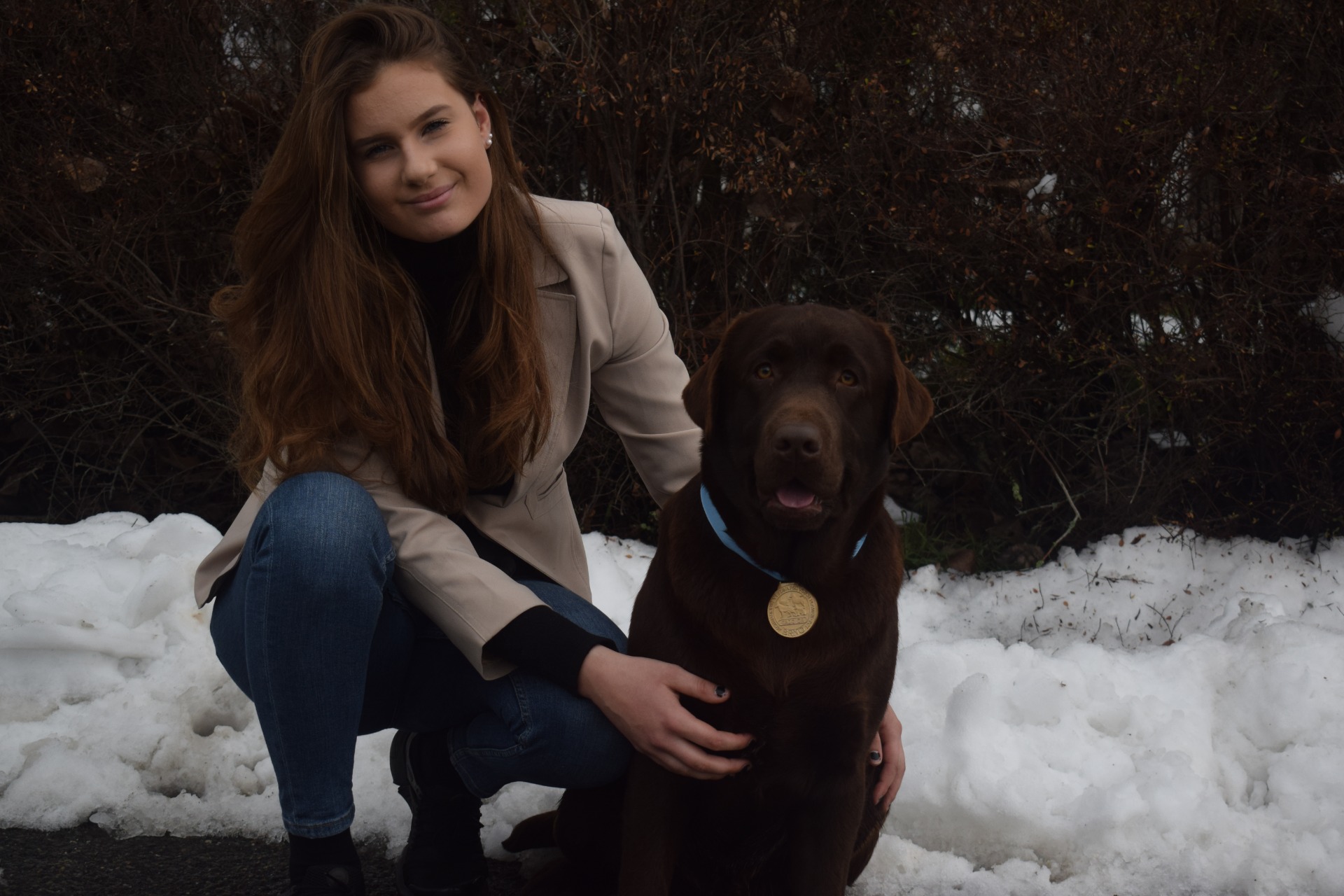 MV DUO CACIB BRNO -V1 CAJC